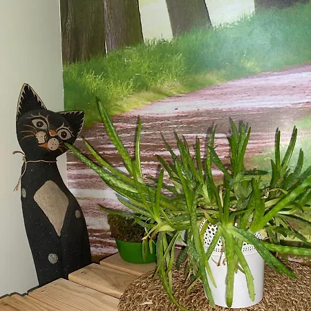 Appartement Przejazdem Na Polnoc Bielany Warschau