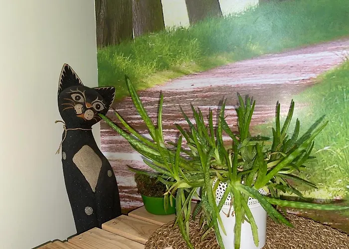 Apartament Przejazdem Na Północ Bielany Warszawa